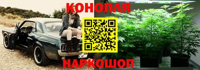 соль ск Нягань
