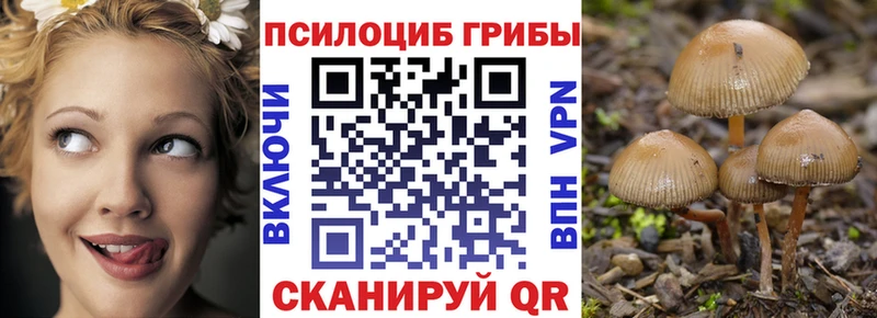 Псилоцибиновые грибы Psilocybe Кондопога