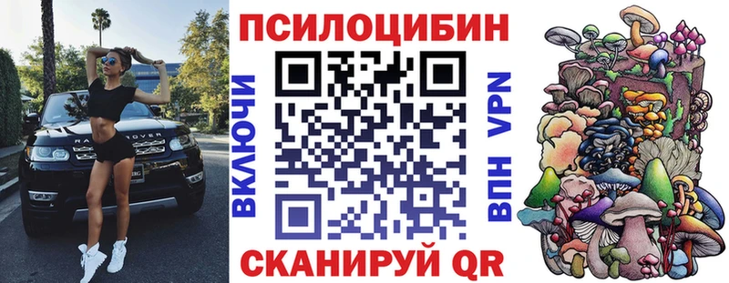 Галлюциногенные грибы Cubensis  Кондопога 
